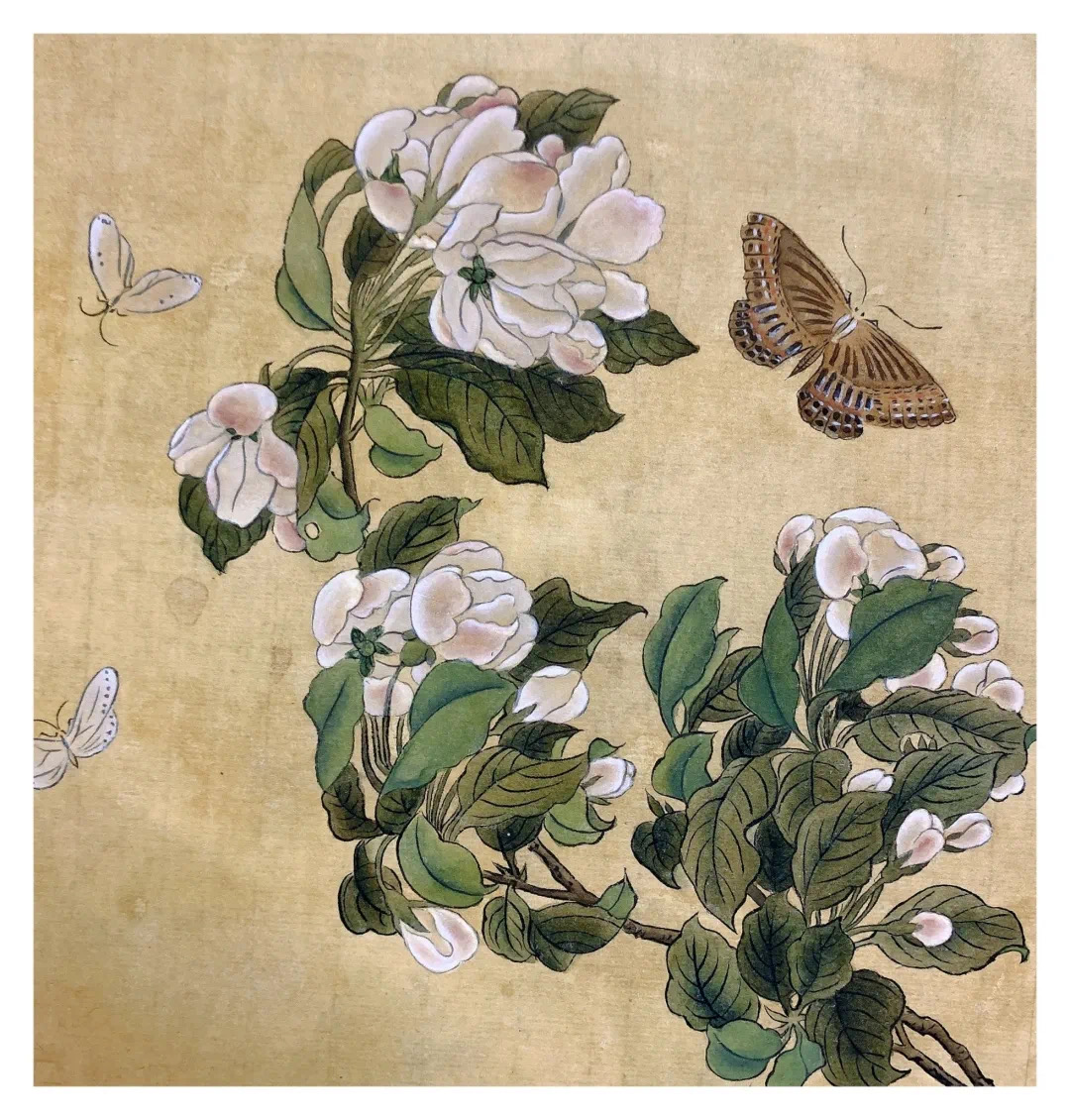 89440216-74DF-4CD1-8367-DC1529C534D0.jpeg 89440216-74DF-4CD1-8367-DC1529C534D0.jpeg