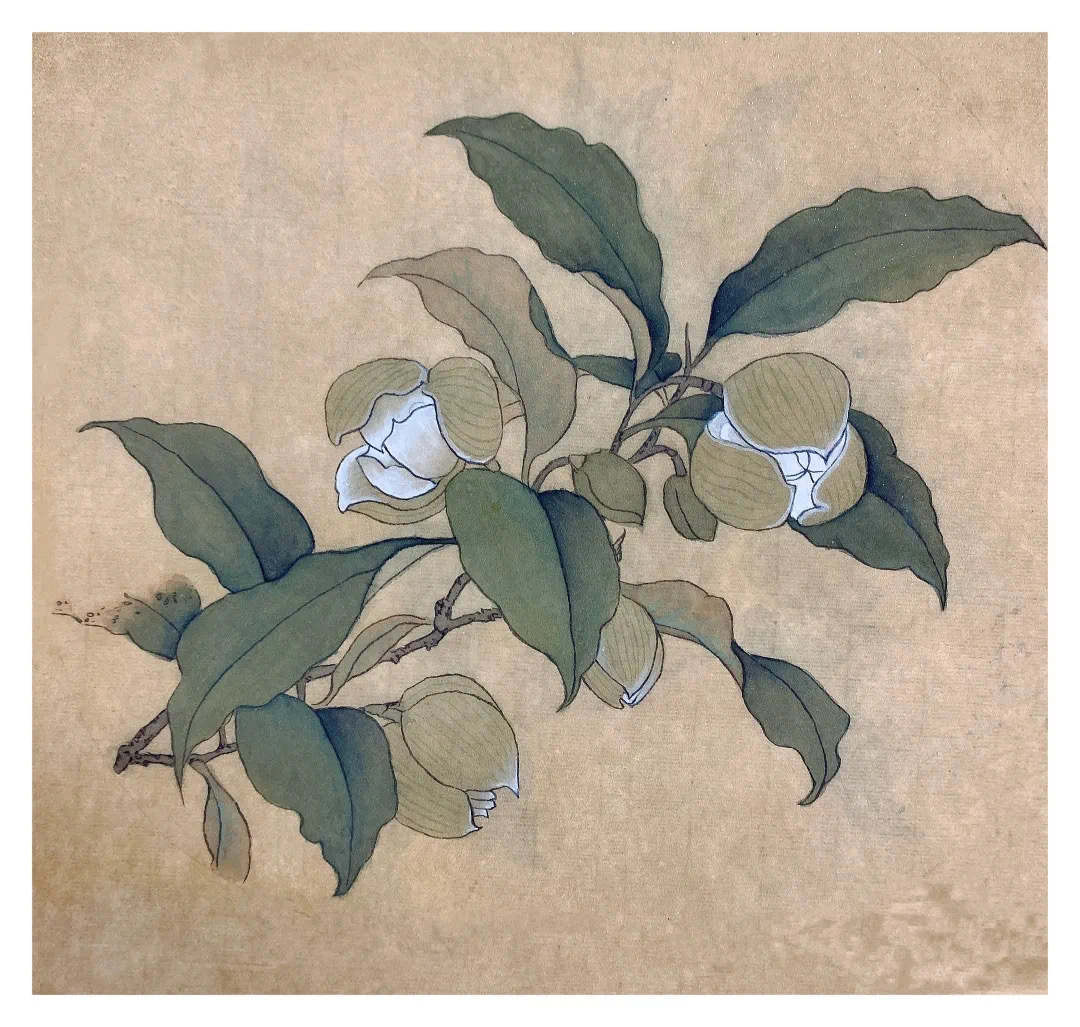 6C2C8B85-E0D6-42DB-AA48-39A1D0DC9A69.jpeg 6C2C8B85-E0D6-42DB-AA48-39A1D0DC9A69.jpeg