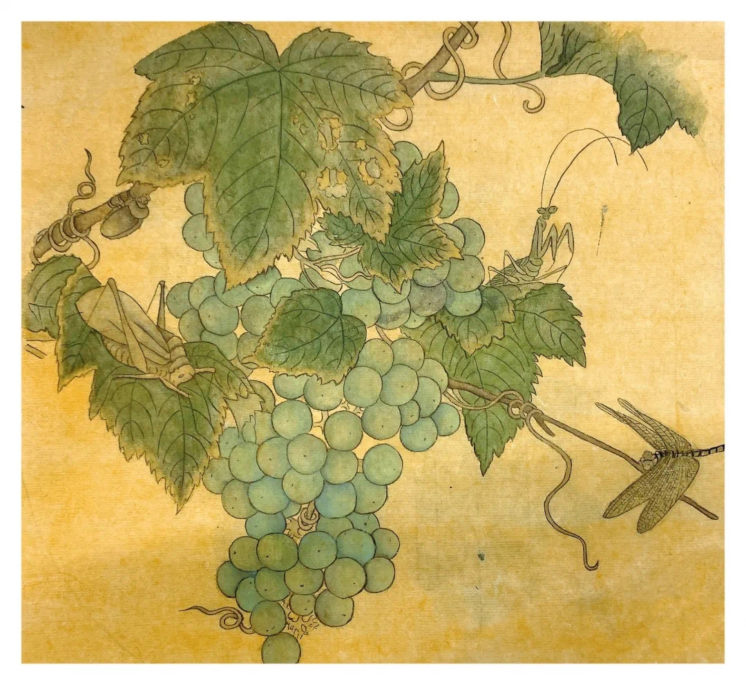 21DAE421-9BD2-4997-9CA7-C1C5E75287E7.jpeg 21DAE421-9BD2-4997-9CA7-C1C5E75287E7.jpeg