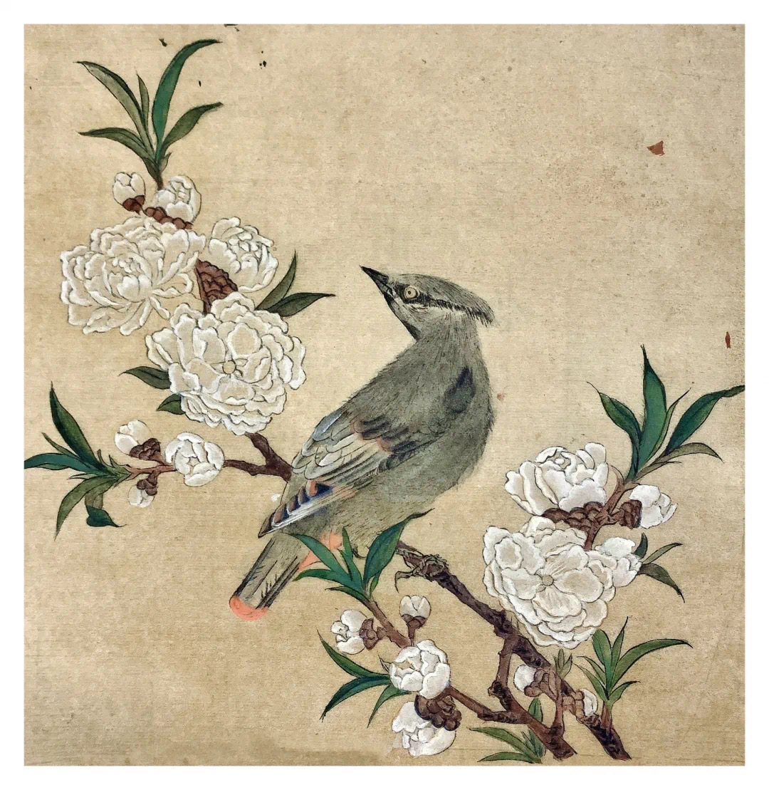 59D07E2E-02BE-4184-ACF4-292A1AC9C586.jpeg 59D07E2E-02BE-4184-ACF4-292A1AC9C586.jpeg