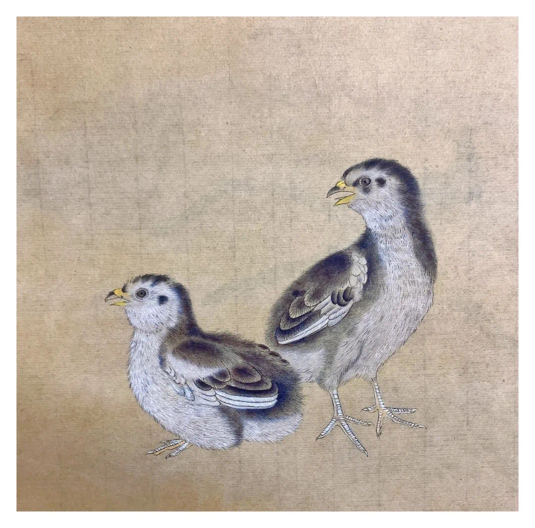 67DB2A11-4A8A-4610-A685-1EE4075C329A.jpeg 67DB2A11-4A8A-4610-A685-1EE4075C329A.jpeg