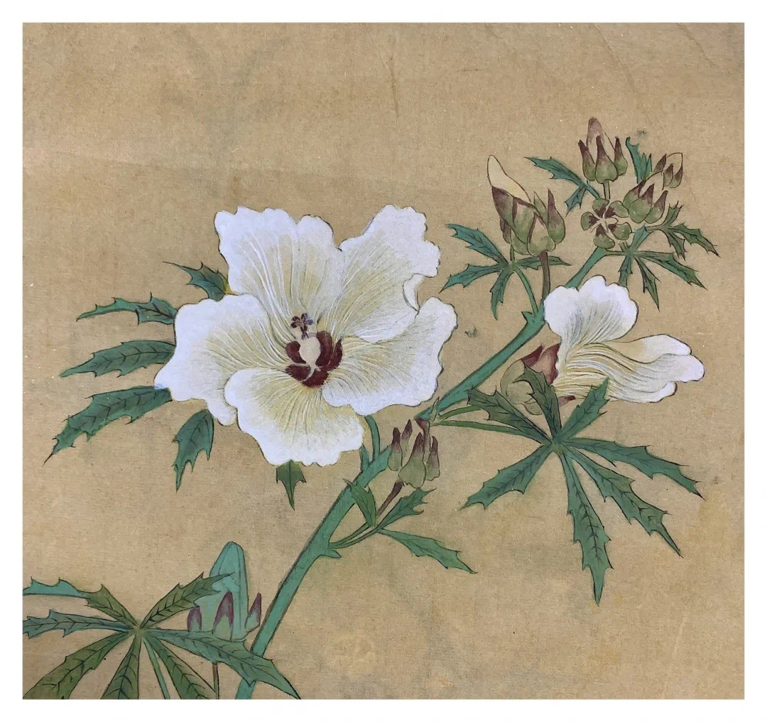 51E4261B-E9F2-4480-85E5-50549BF8D37B.jpeg 51E4261B-E9F2-4480-85E5-50549BF8D37B.jpeg