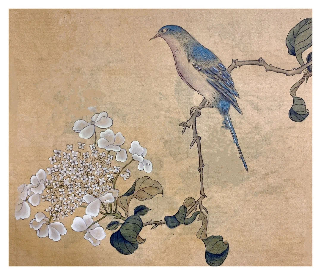 644570FD-7545-4579-8F34-E02D3C7FED37.jpeg 644570FD-7545-4579-8F34-E02D3C7FED37.jpeg