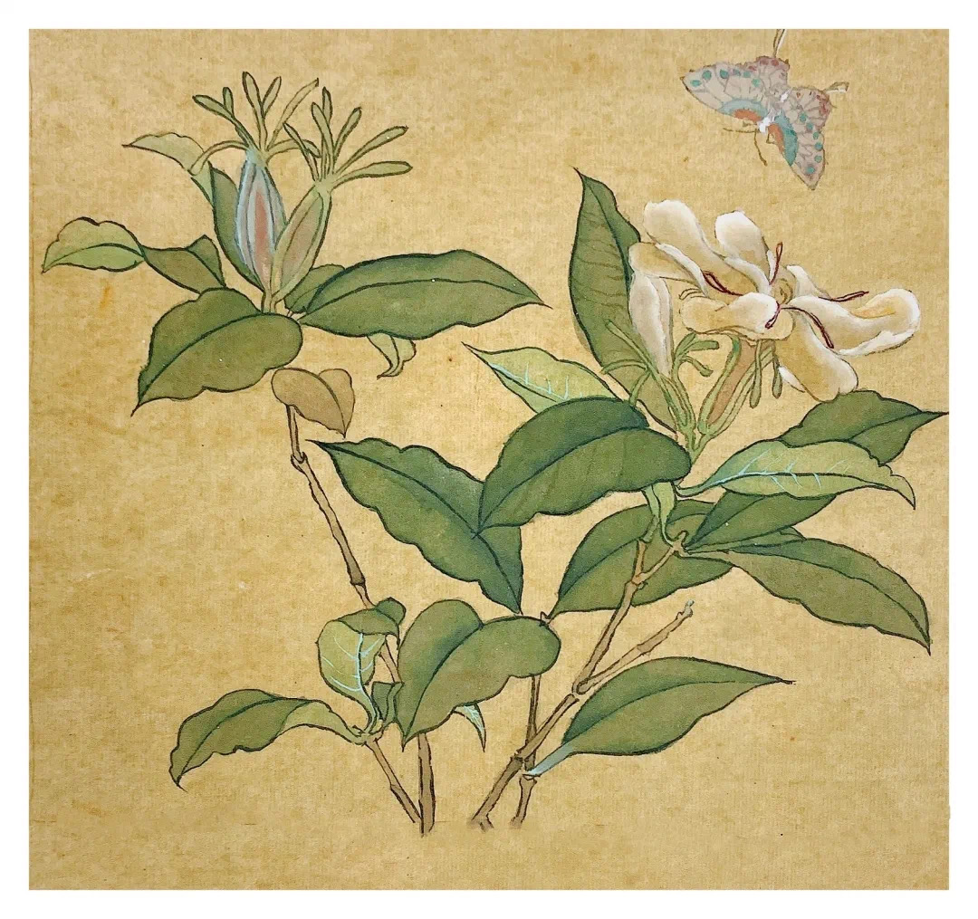 EBBF4D2F-8823-4C9D-9F1B-69C8199630C2.jpeg EBBF4D2F-8823-4C9D-9F1B-69C8199630C2.jpeg