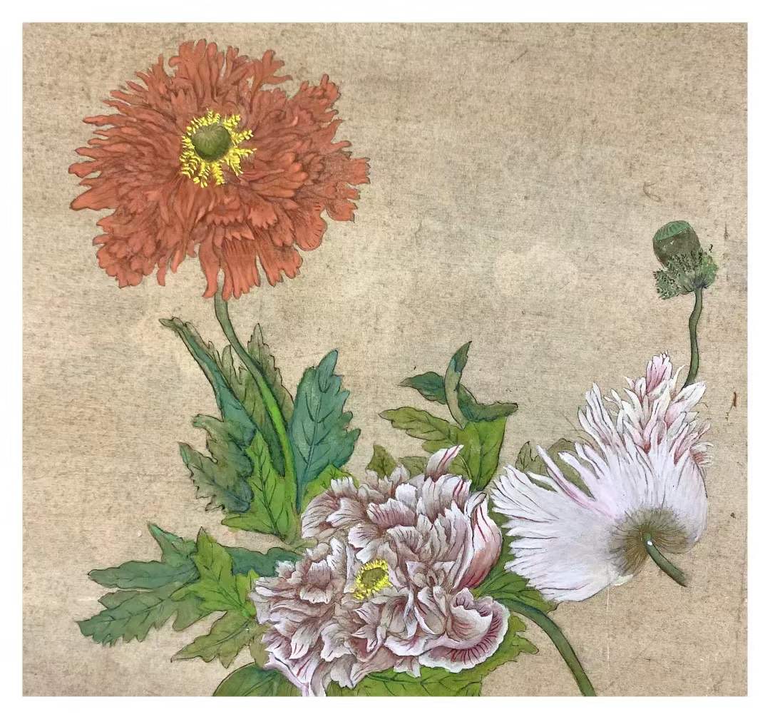 55D1947A-8C0F-47BB-B7FF-971E44C6F14E.jpeg 55D1947A-8C0F-47BB-B7FF-971E44C6F14E.jpeg